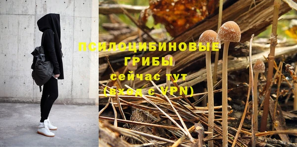 мдпв Ессентукская