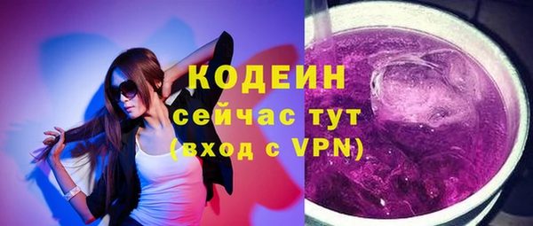 мдпв Ессентукская