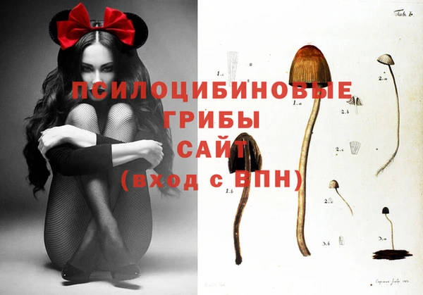 винт Козельск