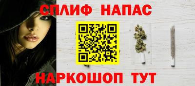 ешки Будённовск